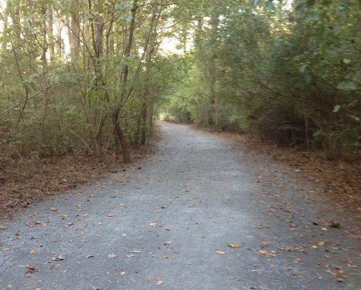 path through woods along river